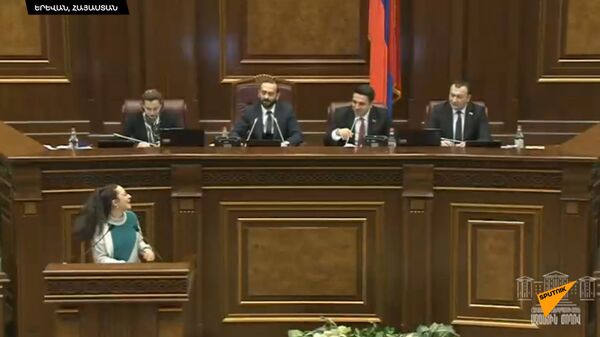 Где здесь?: главная по армянской авиации потеряла и нашла Алена Симоняна - Sputnik Армения