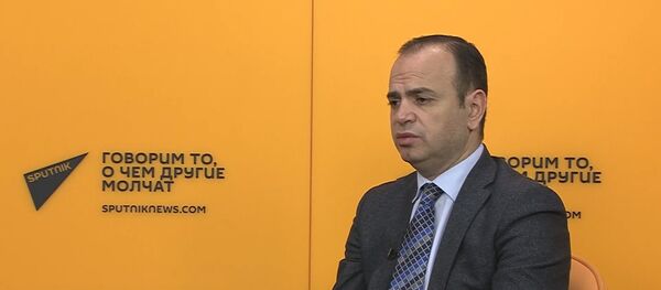 Как Заре Синанян предлагает решить вопрос репатриации - Sputnik Армения