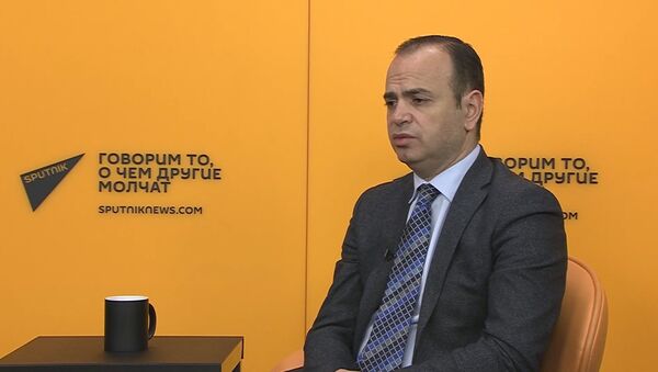 Как Заре Синанян предлагает решить вопрос репатриации - Sputnik Армения