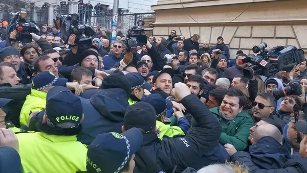 Акция протеста перед зданием парламента Грузии (18 февраля 2020). Тбилиси - Sputnik Армения