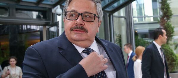 Посол России в Турции Алексей Ерхов во время официального визита председателя СФ РФ Валентины Матвиенко в Турцию (17 мая 2019). Анкара - Sputnik Армения