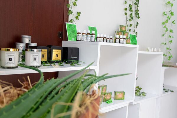 Առաջինն ու միակը. ինչպես ալոեն փոխեց հայ ինժեներ- երկրաբանի կյանքը Առաջինն ու միակը. ինչպես ալոեն փոխեց հայ ինժեներ- երկրաբանի կյանքը - Sputnik Արմենիա