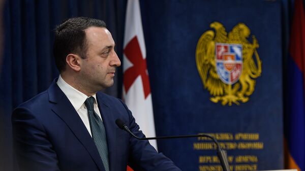  Министр обороны Грузии Давид Ираклий Гарибашвили на пресс-конференции (27 февраля 2020). Еревaн - Sputnik Արմենիա