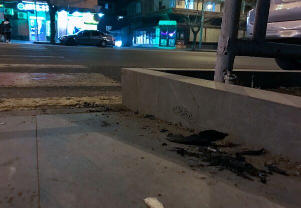 Пепельный дождь в Ереване: МЧС раскрыло тайну странного явления - фото и видео - Sputnik Армения