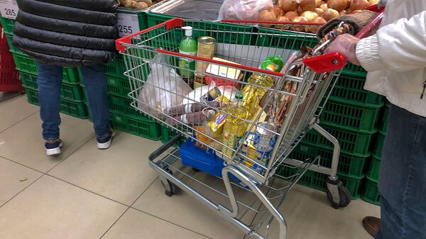 Тележка с покупками в супермаркете - Sputnik Արմենիա