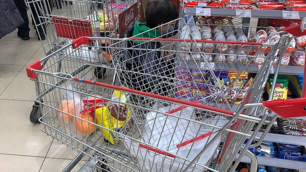 Тележка с покупками в супермаркете - Sputnik Արմենիա