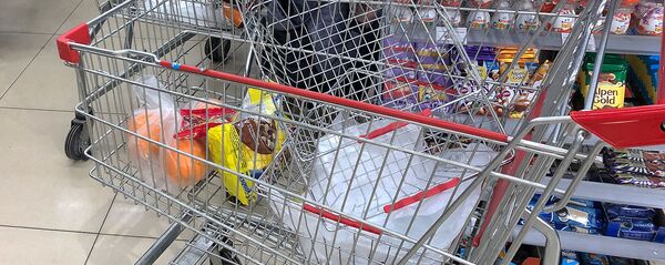 Тележка с покупками в супермаркете Тележка с покупками в супермаркете - Sputnik Արմենիա