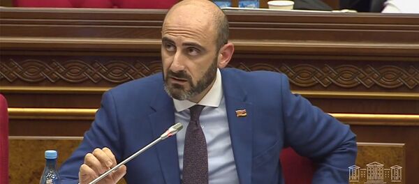 Депутат Нарек Зейналян на очередном заседании парламента Армении (11 февраля 2020). Еревaн - Sputnik Արմենիա