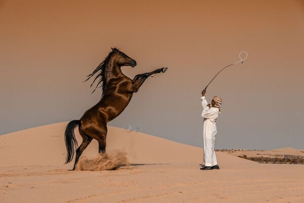 Снимок Horse Motion саудовского фотографа Abbas Alkhamis, победивший в номинации National Awards (Саудовская Аравия)  конкурса 2020 Sony World Photography Awards - Sputnik Армения