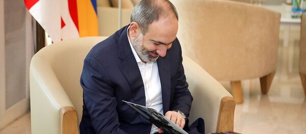 Пашинян в Грузии пел, обнимался и умилялся – видео самых ярких моментов визита  - Sputnik Армения