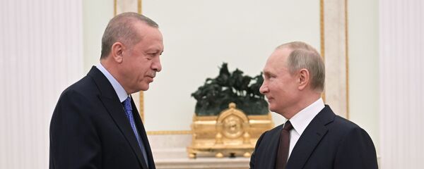  Владимир Путин и Реджеп Тайип Эрдоган  - Sputnik Արմենիա