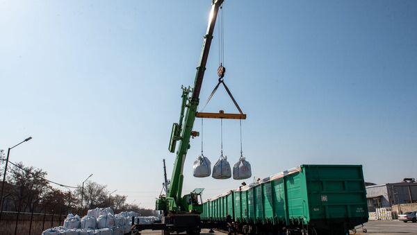 Ввод в строй новых вагонов Южно-Кавказской железной дороги для перевозки руды (9 марта 2020). Еревaн - Sputnik Արմենիա
