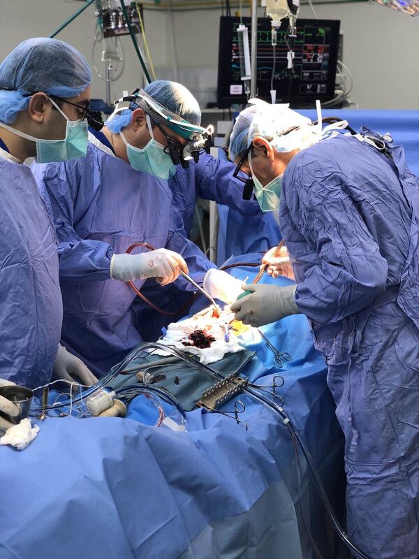 Հայաստանում կատարված սրտի բացառիկ վիրահատությունը` լուսանկարներով Հայաստանում կատարված սրտի բացառիկ վիրահատությունը` լուսանկարներով - Sputnik Արմենիա