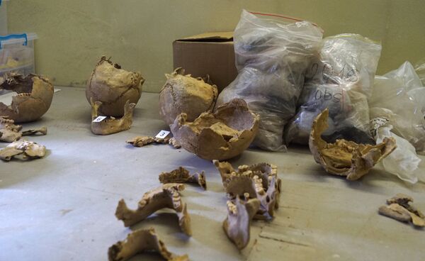 Странное массовое захоронение в Артанише: ученые не могут собрать пазл из расчлененных тел - Sputnik Армения