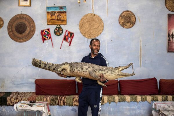Житель деревни показывает посетителям мумию крокодила  - Sputnik Армения