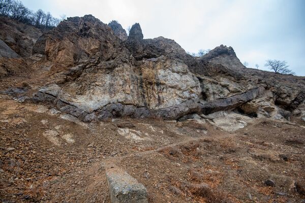 Օձնեցու տոնն ու «Օձի պորտը». հավատքը հաղթահարում է անգամ կորոնավիրուսը - Sputnik Արմենիա