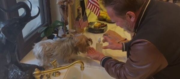 Арнольд Шварценеггер показывает собачке, как мыть руки - Sputnik Армения