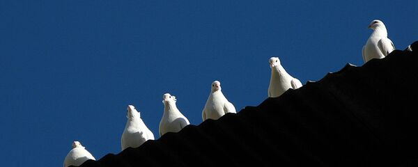 Голуби - Sputnik Армения