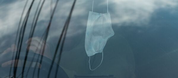 Защитная маска на лобовом стекле такси в Ереване - Sputnik Армения