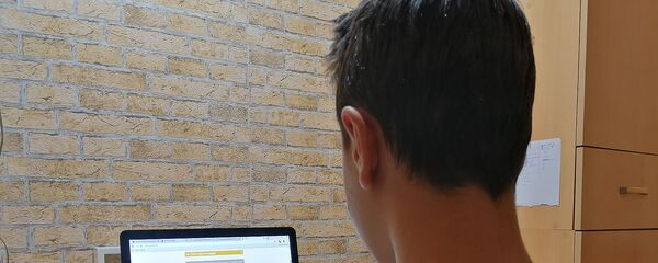 Ученик 8-го класса во время онлайн обучения - Sputnik Армения