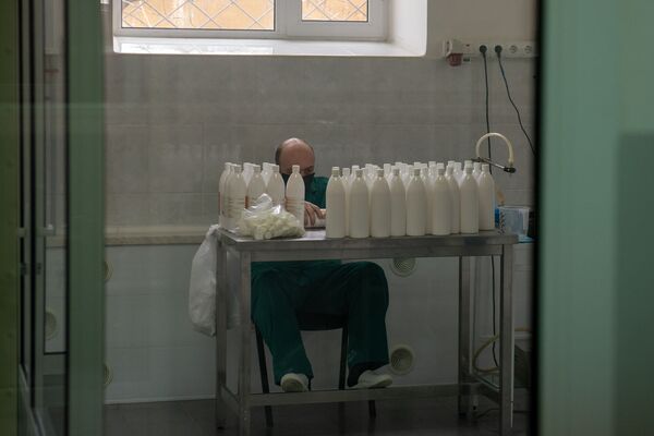 Ալկոգել ծիրանով, կամ ինչ փոփոխություններ է կրել երկրում ախտահանող միջոցների արտադրությունը - Sputnik Արմենիա