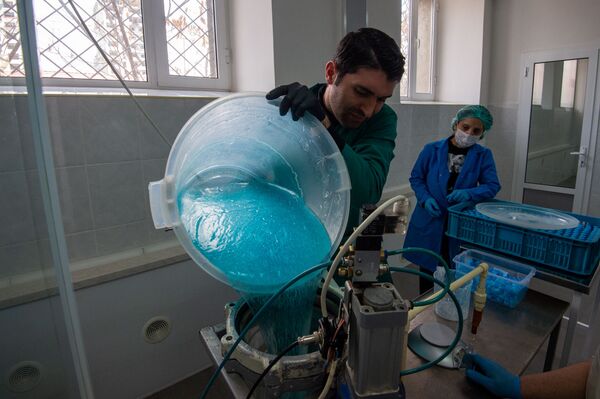 Ալկոգել ծիրանով, կամ ինչ փոփոխություններ է կրել երկրում ախտահանող միջոցների արտադրությունը - Sputnik Արմենիա