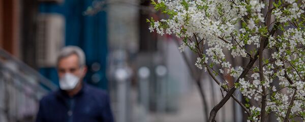 Весенняя ереванская улица Весенняя ереванская улица - Sputnik Армения