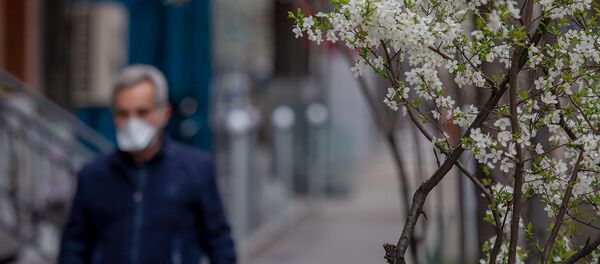 Весенняя ереванская улица Весенняя ереванская улица - Sputnik Армения