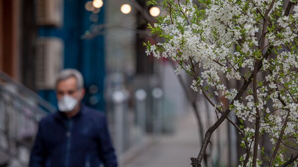 Весенняя ереванская улица - Sputnik Армения