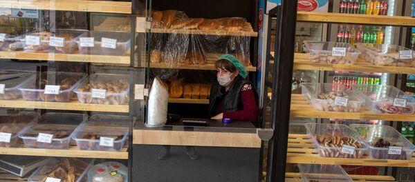 Город во время чрезвычайной ситуации (25 марта 2020). Ереван - Sputnik Արմենիա