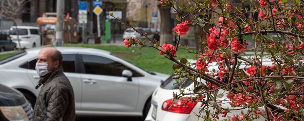 Весенняя ереванская улица Весенняя ереванская улица - Sputnik Армения