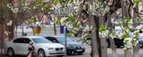 Весенняя ереванская улица - Sputnik Армения