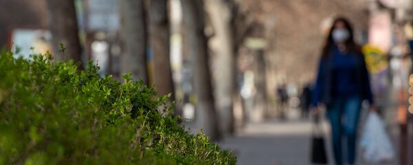 Весенняя ереванская улица - Sputnik Армения