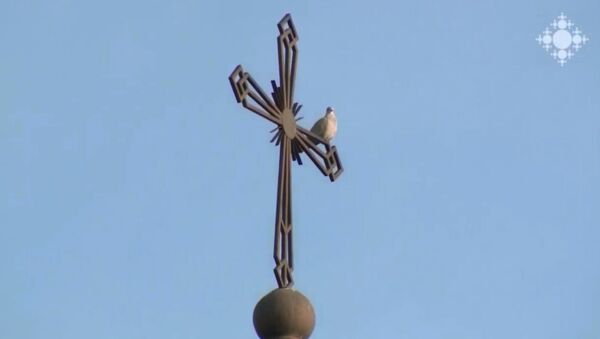 Голубь на кресте церкви - Sputnik Армения