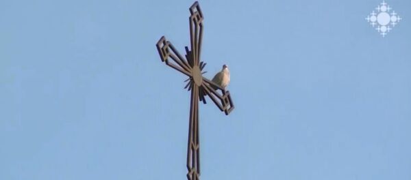 Голубь на кресте церкви - Sputnik Արմենիա