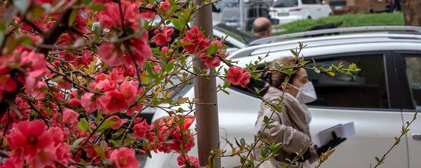 Весенняя ереванская улица - Sputnik Армения