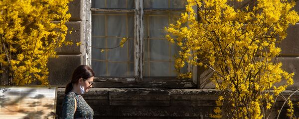 Весенняя ереванская улица - Sputnik Армения