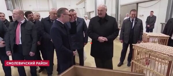 Александру Лукашенко подарили инкубатор Александру Лукашенко подарили инкубатор - Sputnik Արմենիա