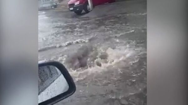 Հայաստանից փախած «պառավը», հորդառատ անձրևն ու ձյունը. տեսանյութ և լուսանկարներ - Sputnik Արմենիա