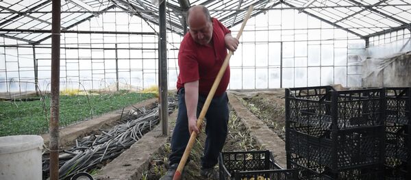 Կորոնավիրուսի հետևանքները գյուղերում. մարդիկ չգիտեն` ինչ անեն Կորոնավիրուսի հետևանքները գյուղերում. մարդիկ չգիտեն` ինչ անեն - Sputnik Արմենիա