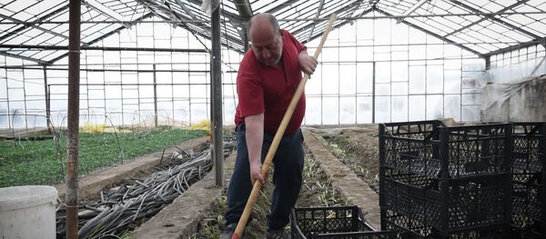 Последствия коронавируса в армянском селе – люди не знают, что делать - Sputnik Армения