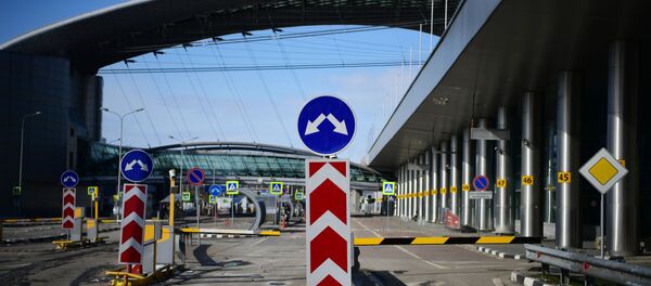 С 1 апреля временно закрывается терминал D в Шереметьево - Sputnik Армения