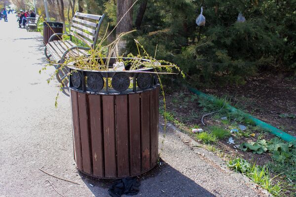 Кадр дня из Еревана: Подожди меня, Изоляция. Я погуляю и сразу вернусь? - Sputnik Армения