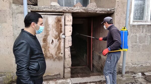 Особый режим отменен, карантин остается: как жить дальше Маралику и Дзоракапу - Sputnik Армения