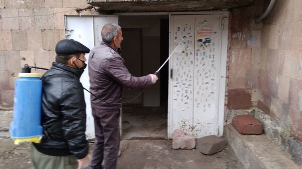 Особый режим отменен, карантин остается: как жить дальше Маралику и Дзоракапу - Sputnik Армения