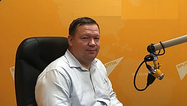Аналитик компании SoftLink Дмитрий Лукашов - Sputnik Армения