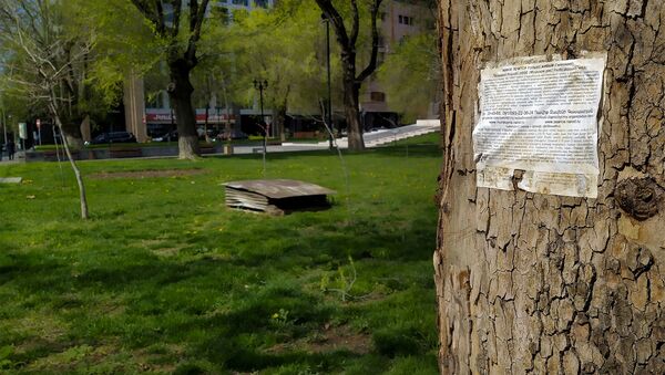 Объявление на стволе дерева - Sputnik Армения