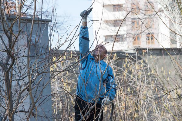 Весна - это время субботников, когда добровольцы помогают улучшить внешний вид города - Sputnik Армения