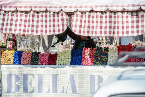 Весна в Ереване Весна в Ереване - Sputnik Армения