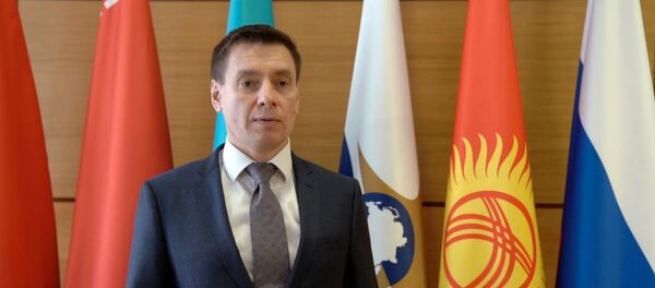 Страны ЕАЭС снижают таможенные пошлины на необходимые товары - Sputnik Армения